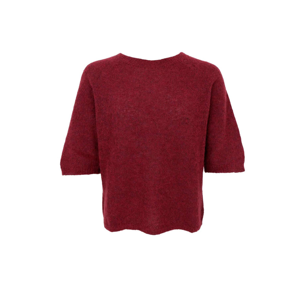 Black Colour - Bcdell Knit Jumper 1162 - Wine Strikbluser