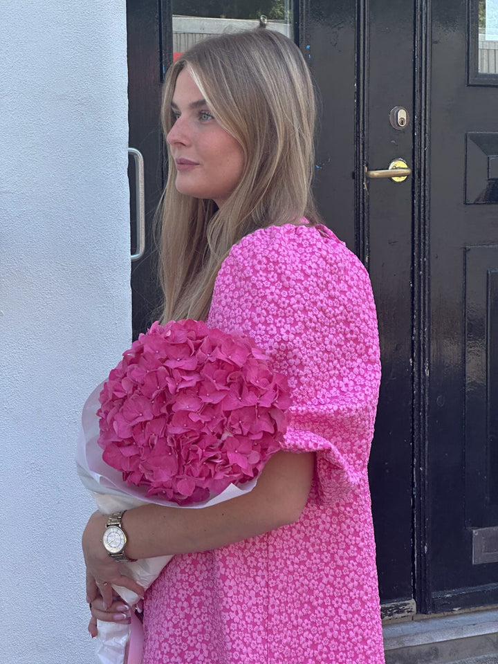 Forudbestilling - Noella - Reno Pastis Long Dress - 031 Bright Pink Kjoler