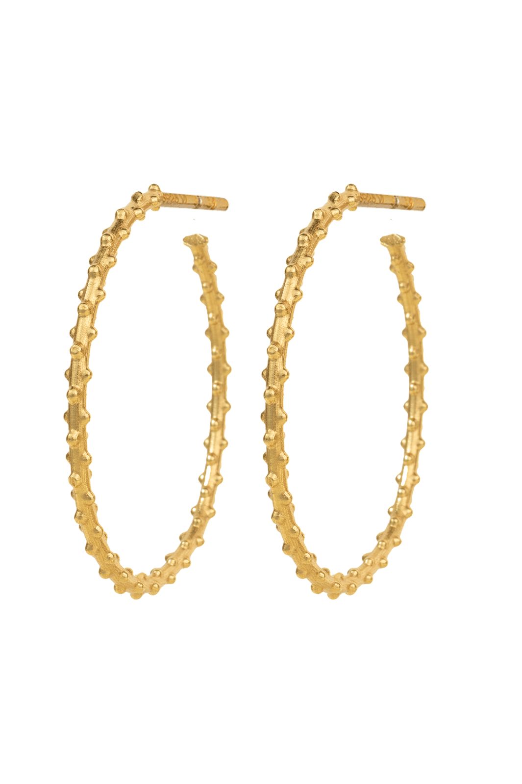 Vorbestellung - House Of Vincent - Elara Hoop Earrings VJ223-UEG - Gilded