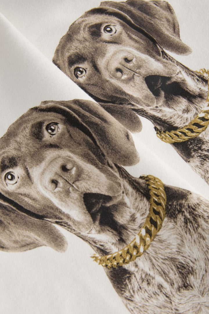 Jjxx - Jxolivia Loose Print Ss Tee - 4922645 Cloud Dancer Dogs