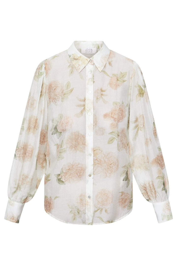 Love & Divine - Love919-18 19262 - 815 - Cream Flower