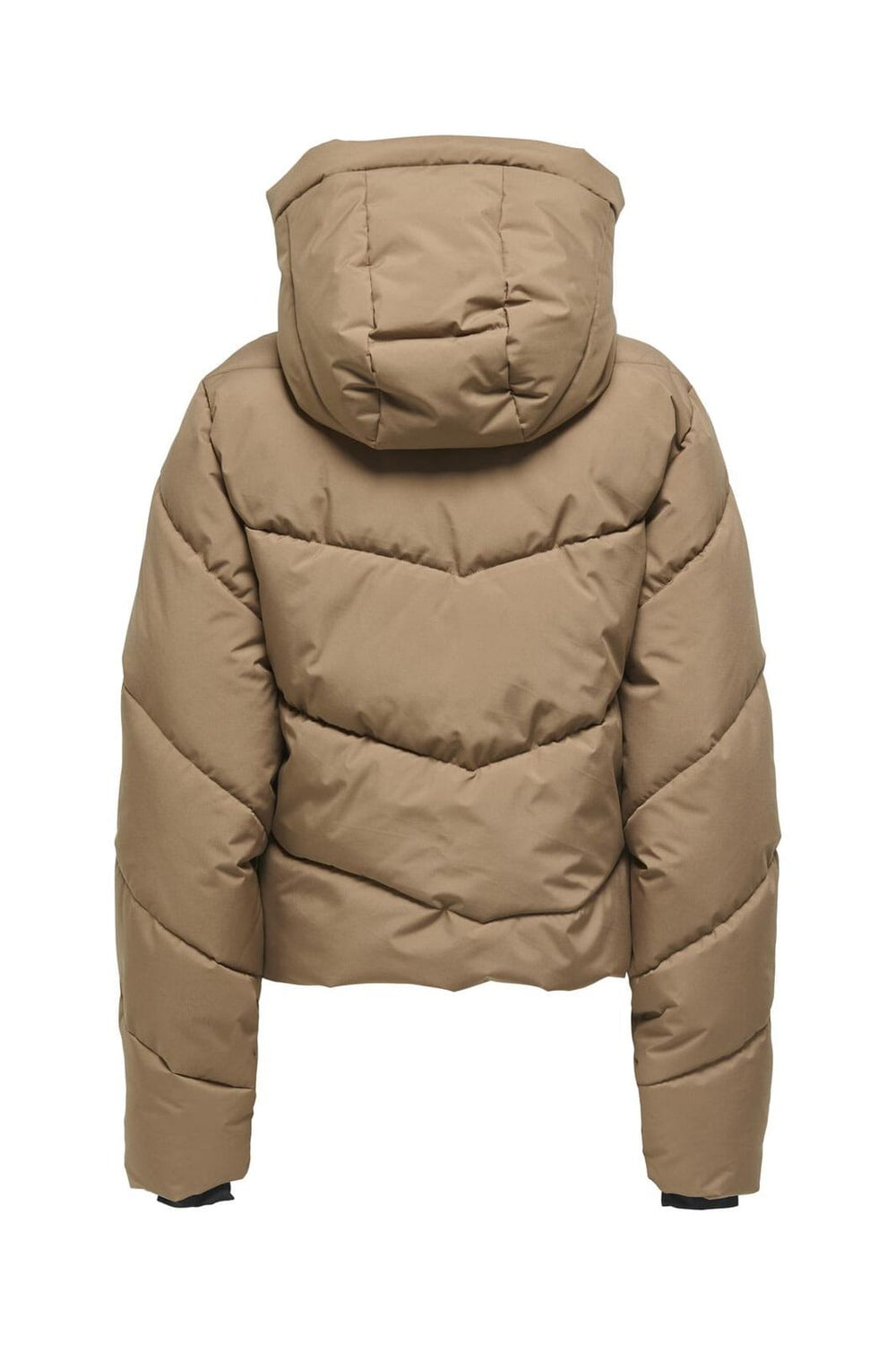 Only - Onlharper Life Short Premium Jacket - 4819157 Cocoa Créme