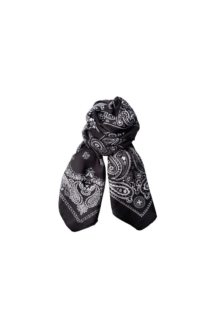 Black Colour - Bctrish Mini Scarf 3654 - Black
