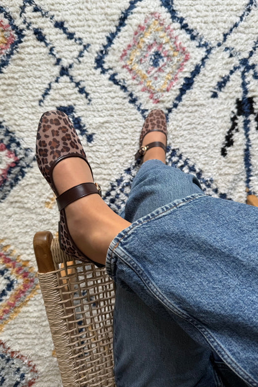 Bloom - Primula Ballerina - Animals Ballerinaer 