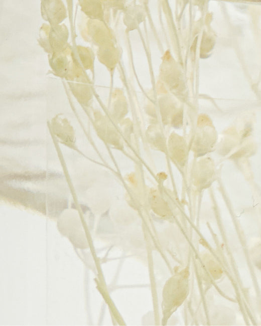 Meraki - Diffuser, Vivid Shades, 240 ml