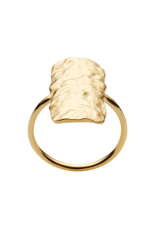 Maanesten - Mscuesta Ring - 4302a Ringe 