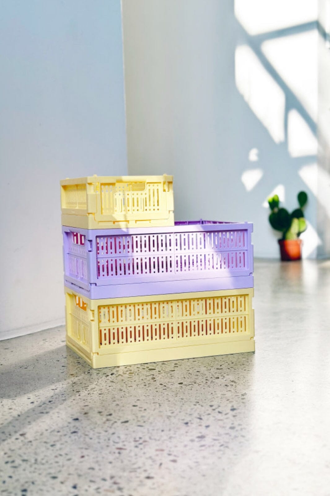 Made Crate - Midi - Lilac