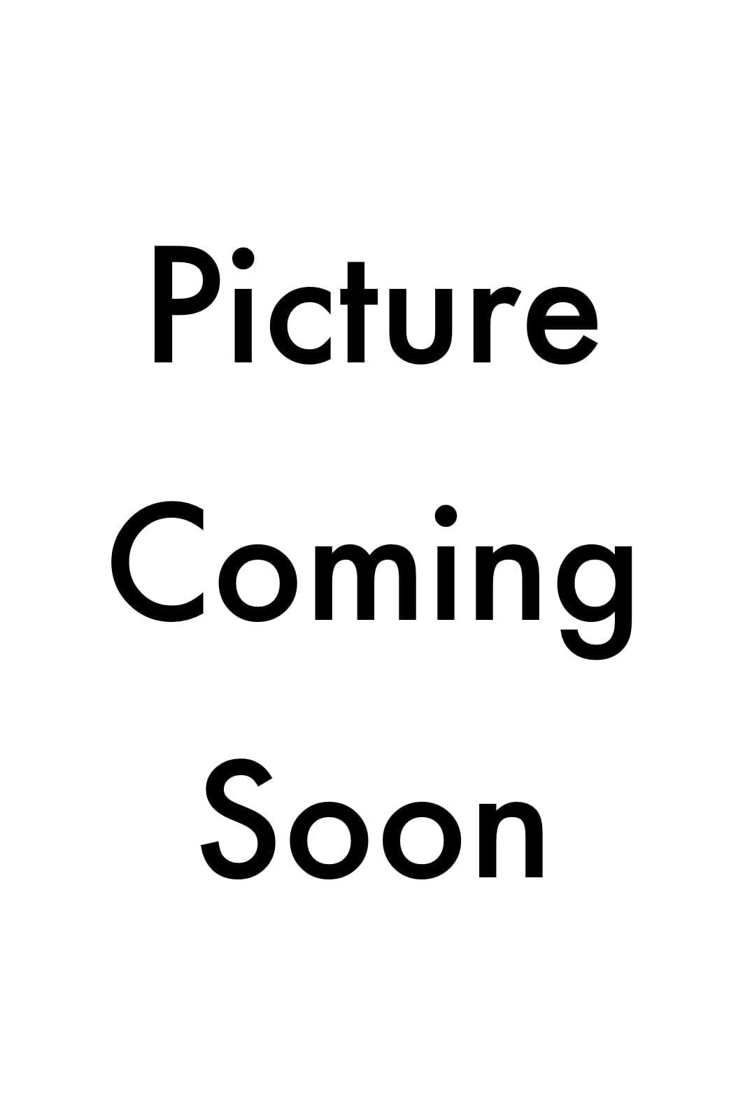 Noella - N-Monica Dress 15070001 - 1249 - White Kjoler 