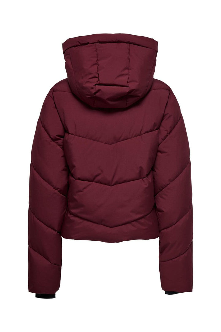 Only - Onlharper Life Short Premium Jacket - 4819158 Cabernet