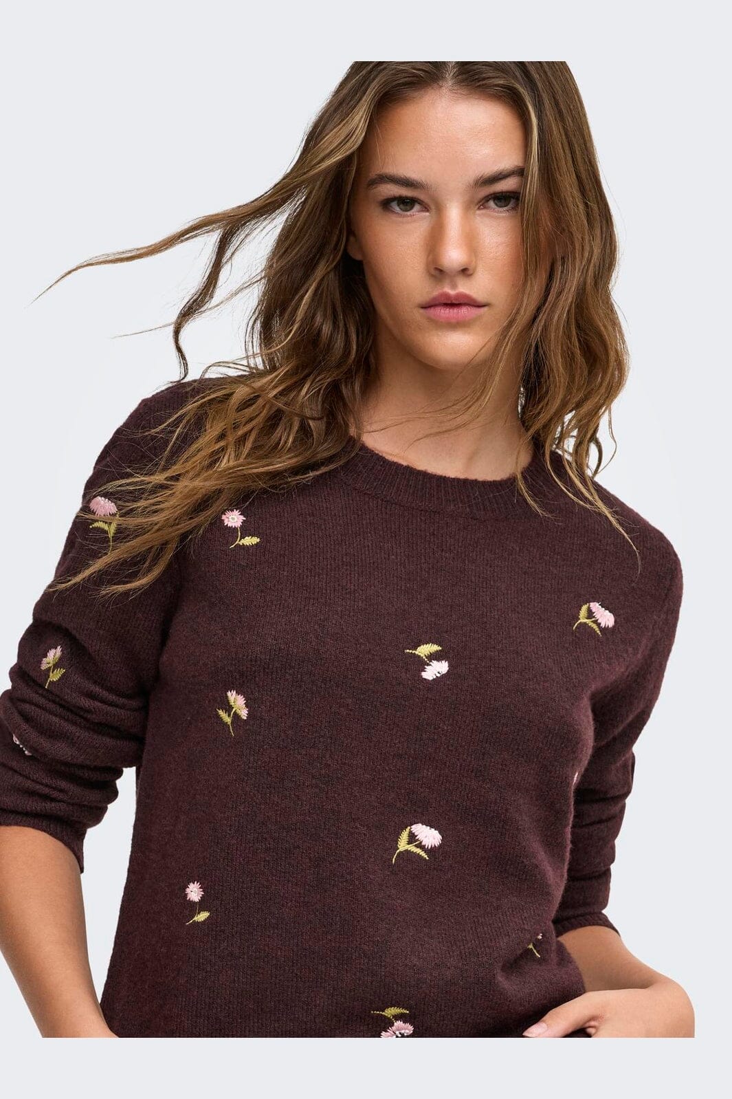 Only - Onlshine Ls Embroidery O-Neck Cc Knt - 5100611 Fudge Mel/Flower Body/Beech/Pale L/Birch