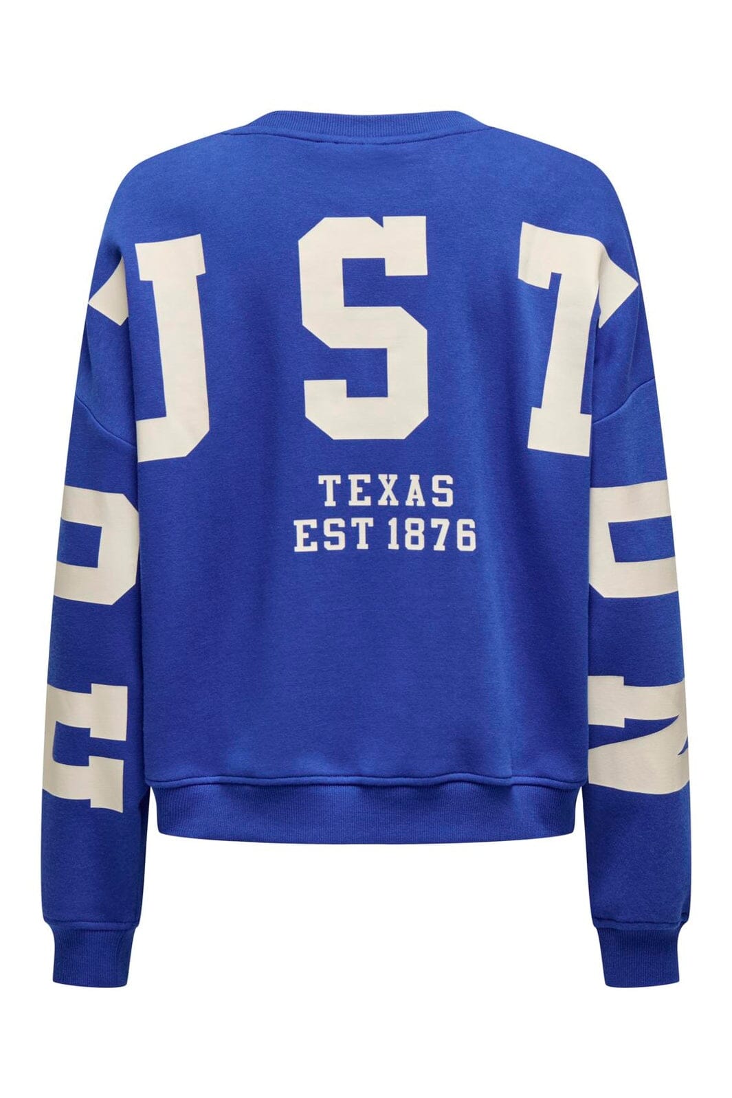 Only - Onlsweat L/S Back/Sleeve Print Swt - 4845924 Surf The Web Birch Houston Print