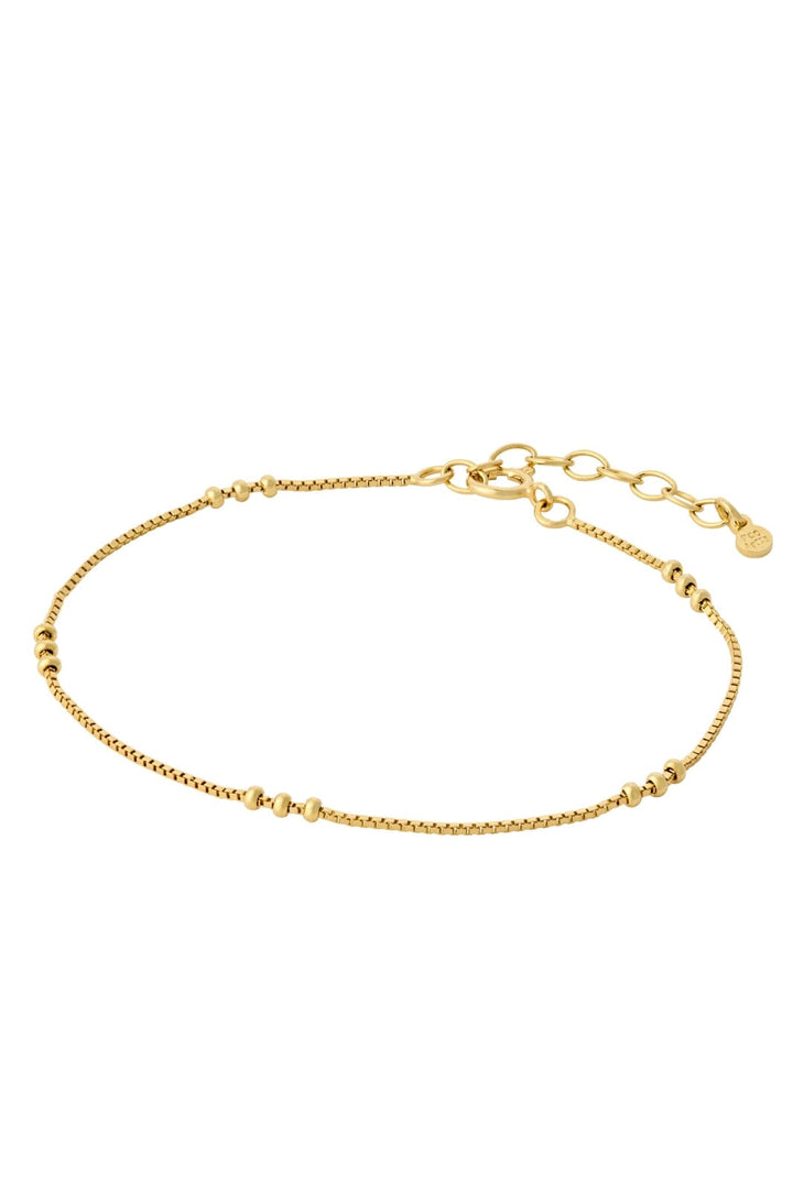 Pernille Corydon Jewellery - Eva Bracelet - Golden Plated